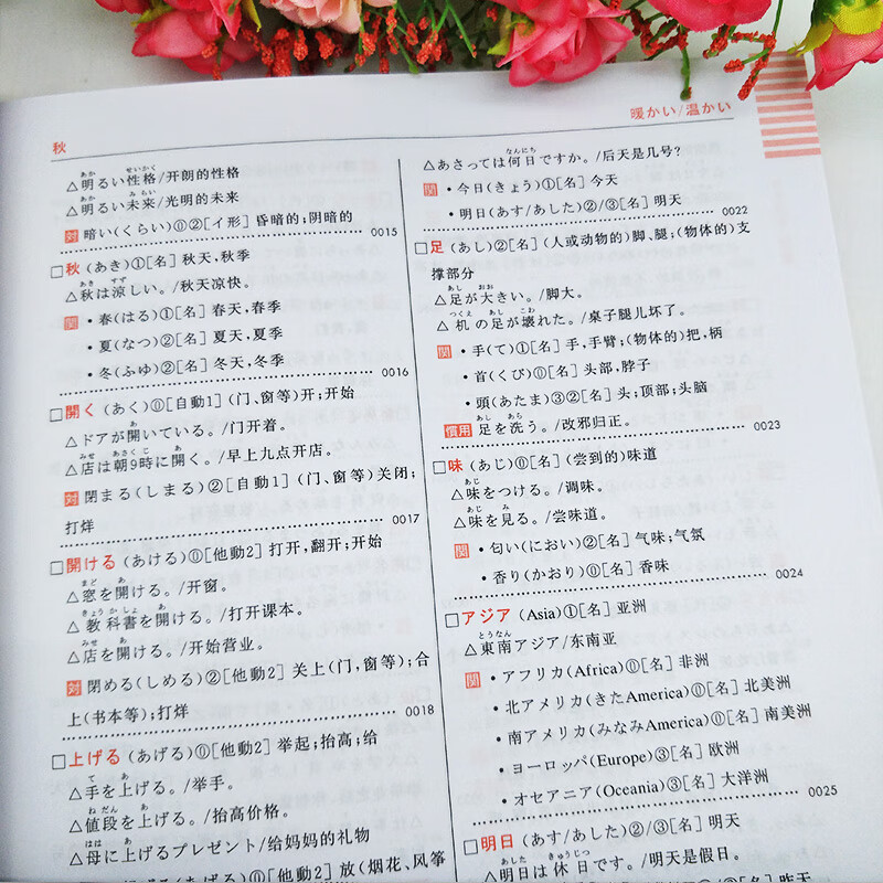 正版日语n5n4红蓝宝书日语n4n5红宝书文字词汇 蓝宝书文法详解日语