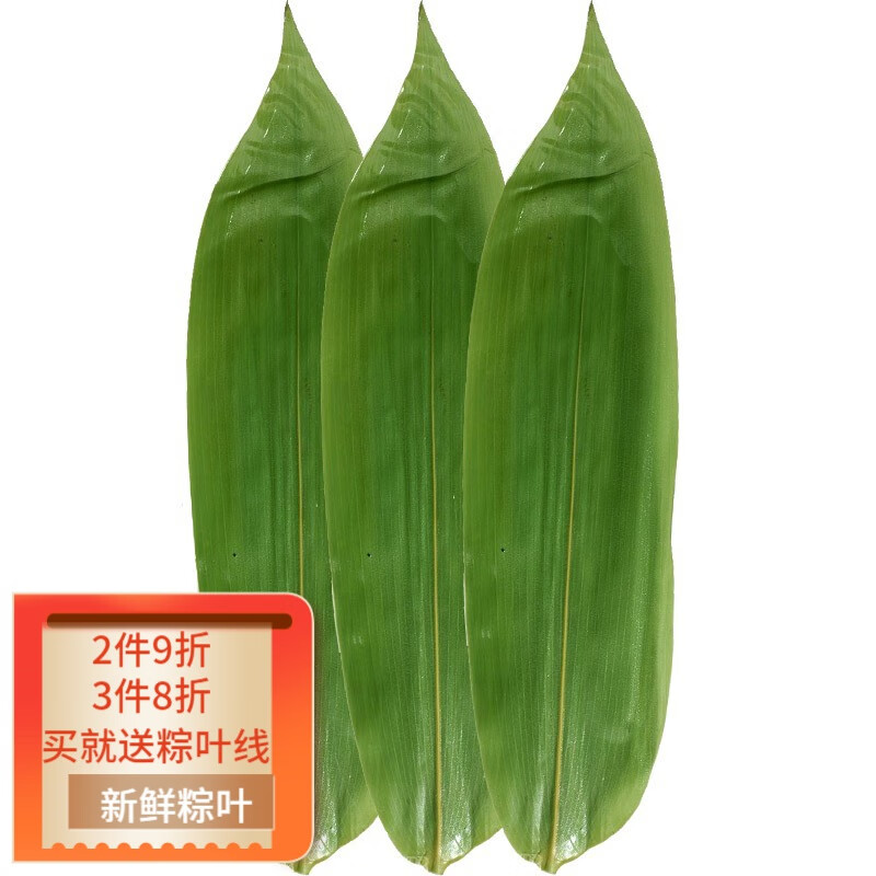 稀壤新鲜粽叶自然生长农家箬竹叶中大号包端午粽子用 (特大8cm以上)50片