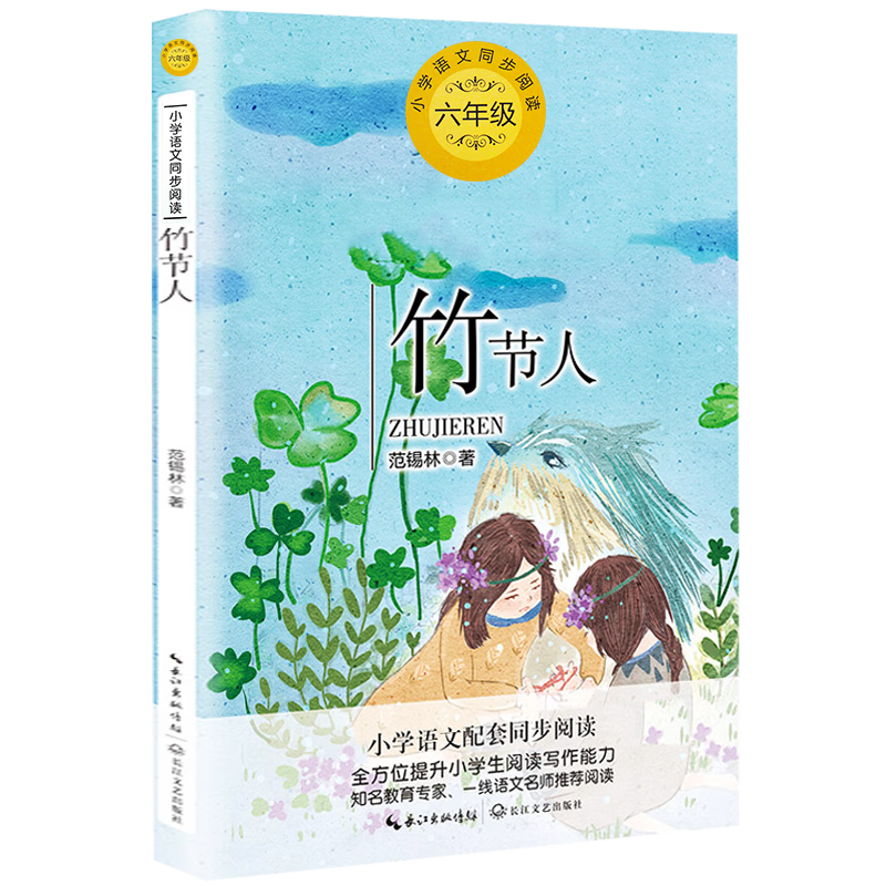 【二手99新】竹节人 范锡林 著 6六年级小学生课外阅读书籍 小学 竹节