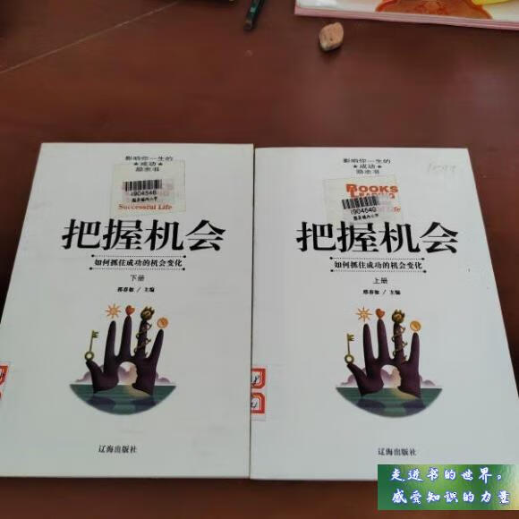 二手书八五新 把握机会 上下册 邢春如 辽海出版社 标准