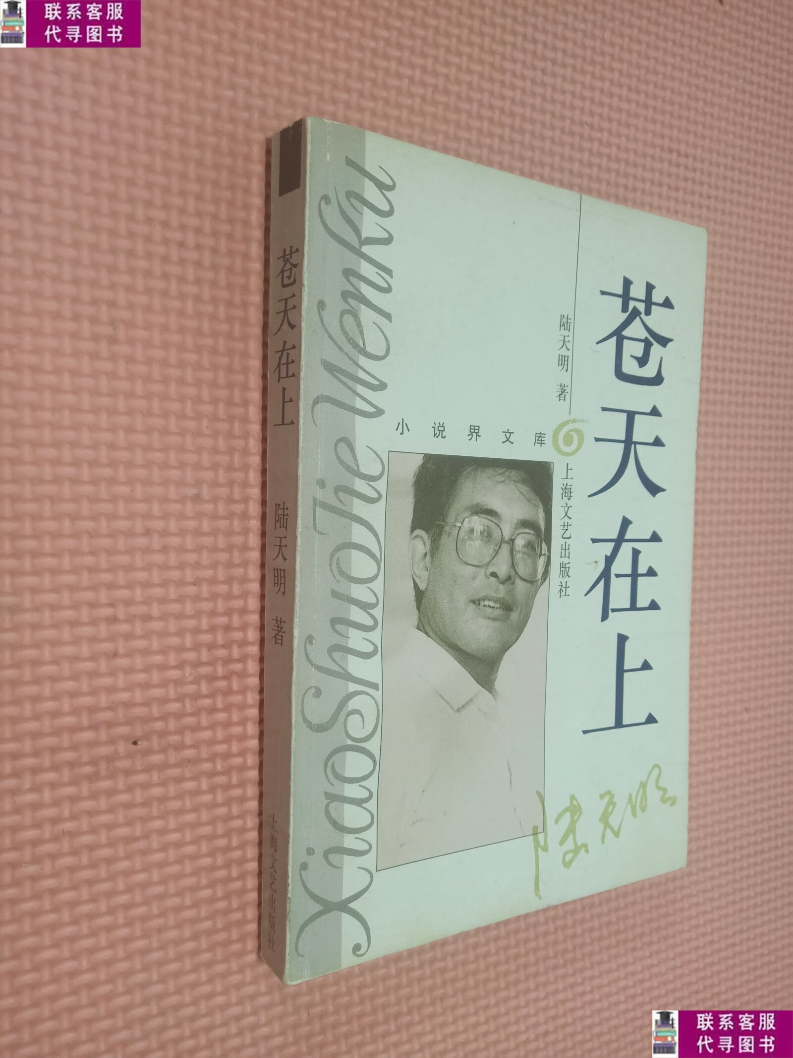 【二手9成新】苍天在上 /陆天明 上海文艺出版社