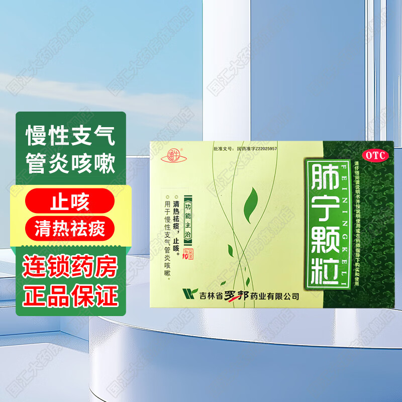 [通生] 肺宁颗粒 10g*10袋/盒 1盒