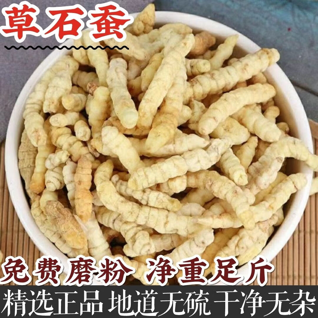 白虫草 草石蚕500克茶地蚕草石蚕干货中药材土冬虫药材煲汤100g 100克