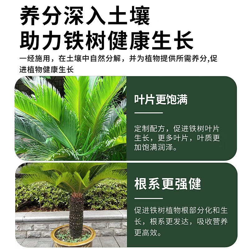 铁树专用肥料叶子发黄喜酸植物通用营养液盆栽肥料铁树专用营养液 3瓶装