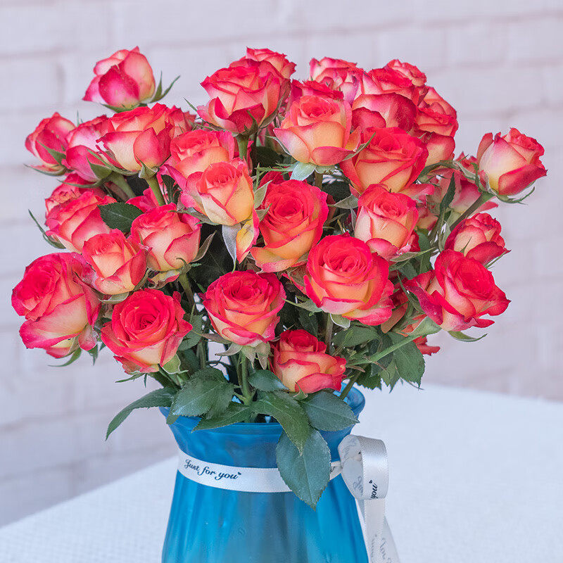 昆明基地直发钻石小玫瑰泡泡芭比水养花束办公室 爱丽丝多头泡泡10枝