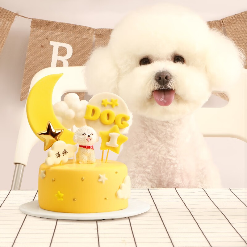 ���� ˳��ֱ�� �������յ��� è����ʳ �����ζ���� Լ260g 79Ԫ