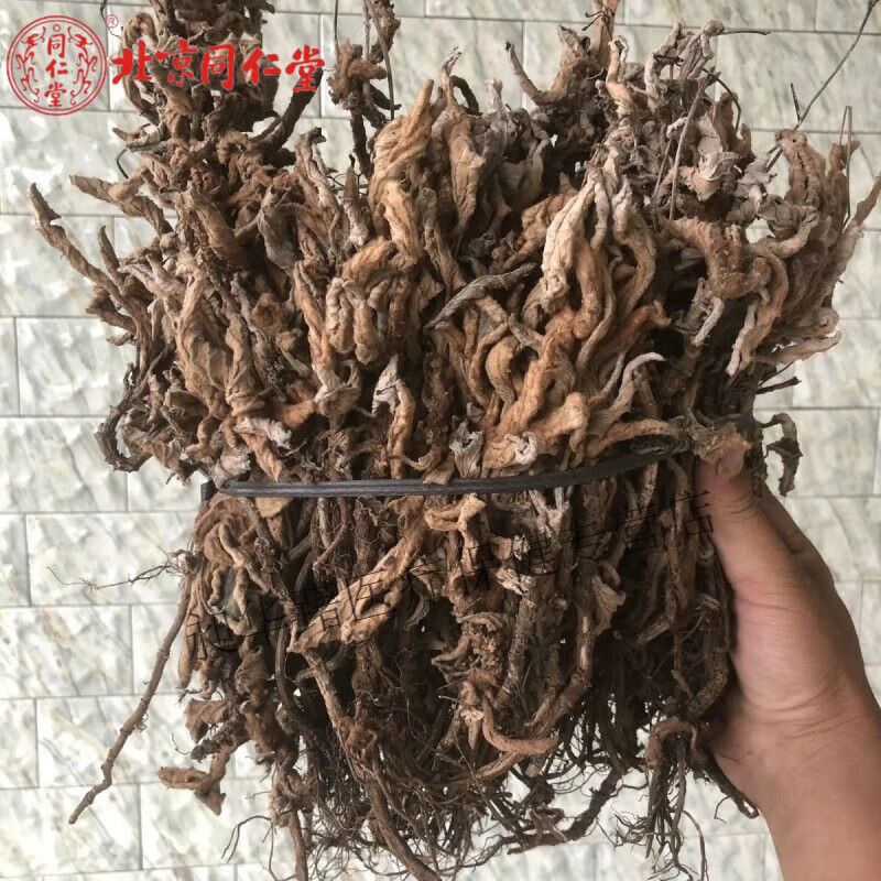 北京同仁堂  原料【石上莲】贵州野生软肝草中药材草药俗称金钩莲当季