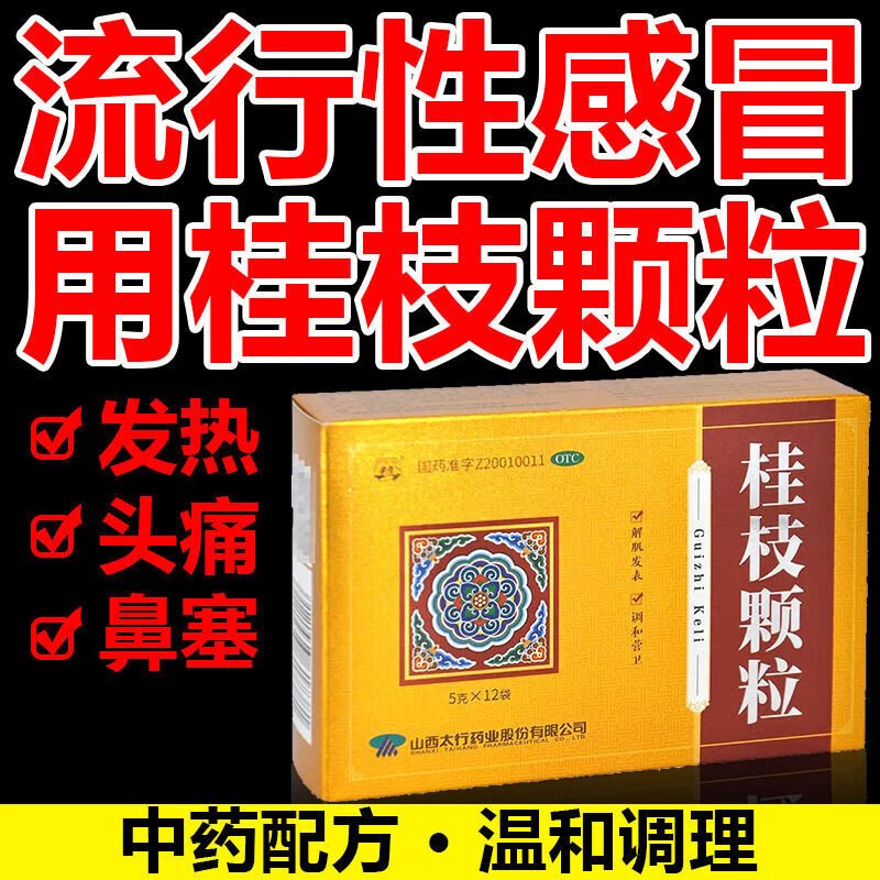 同仁堂 桂枝颗粒 5g*12袋 可选漳i河 调和营卫 用干外感风邪 头痛发热