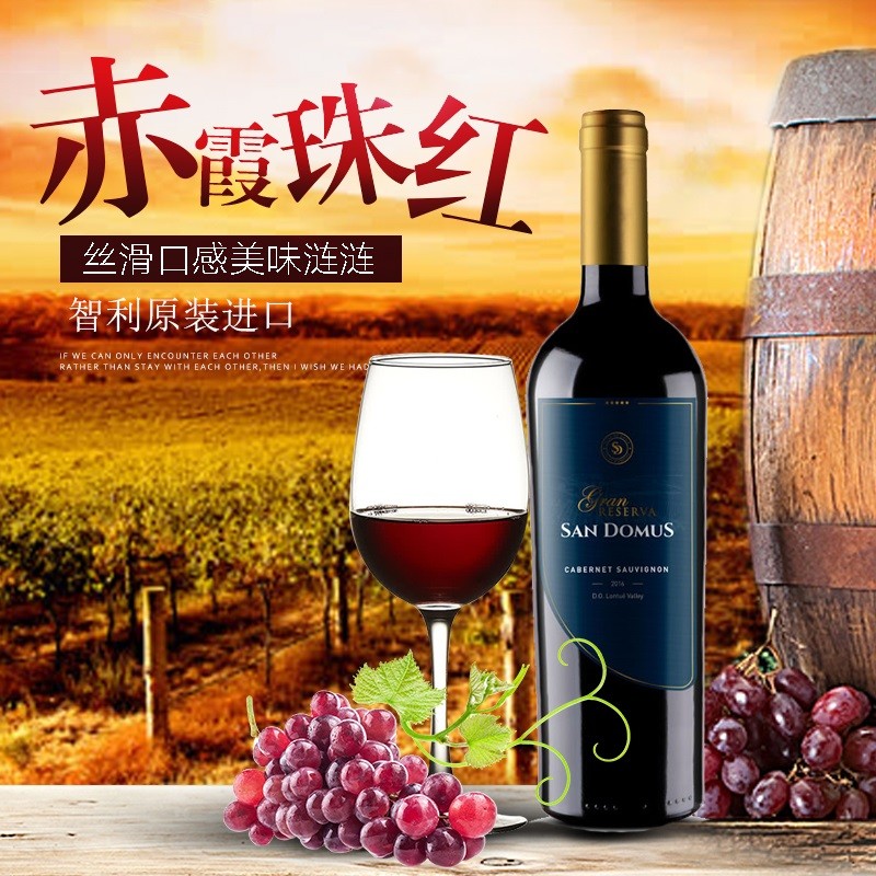 智利圣多沐斯赤霞珠干红原瓶进口葡萄酒 特级珍藏赤霞珠 特级珍藏单支装 750ML