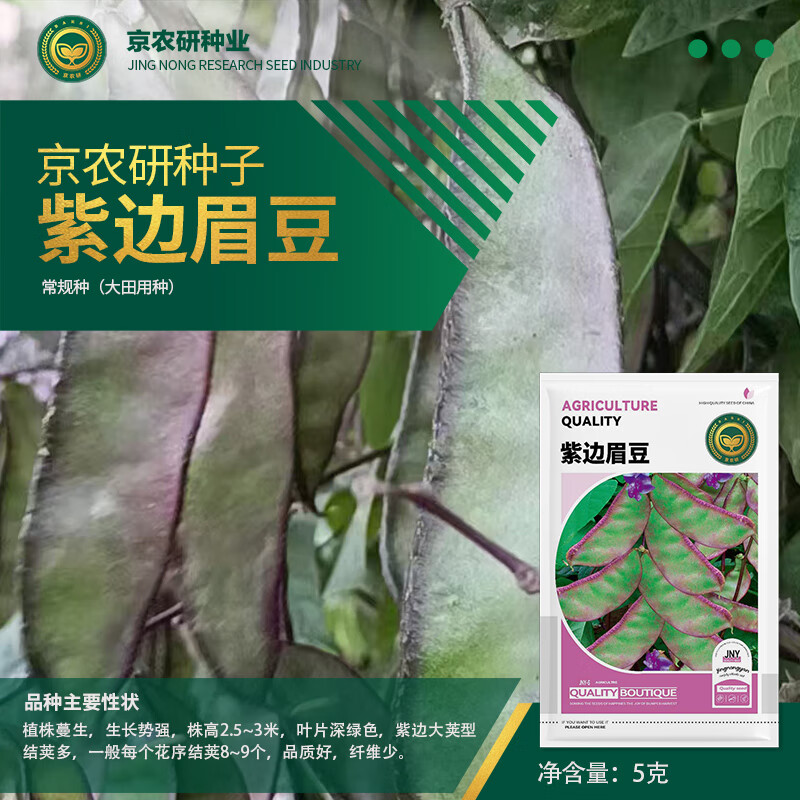 京農(nóng)研豆角種子長豇豆苗油豆角無筋架豆白不老紫眉豆扁豆四棱豆蔬菜籽孑 紫邊眉豆 5克