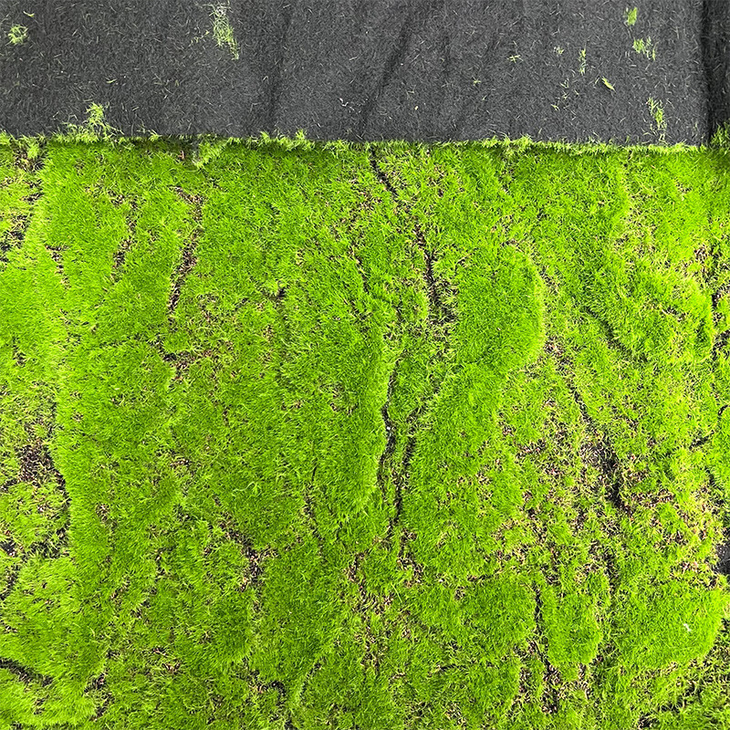 仿真苔藓青苔片仿生人造草坪草皮假绿植铺面装饰造景微景观布置 红底