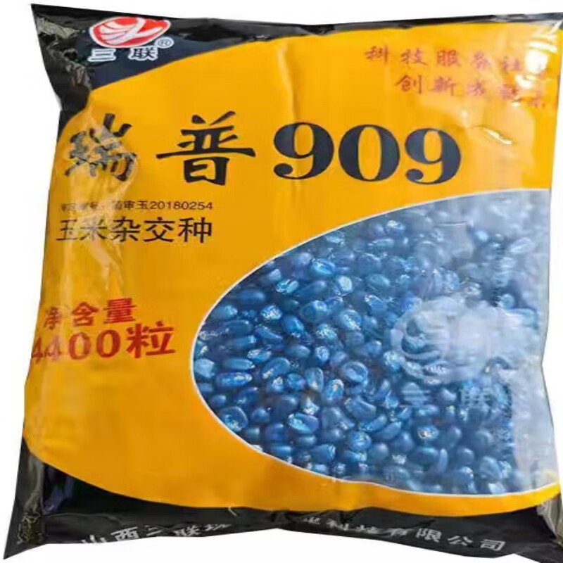 三联瑞普909一袋 矮杆大穗耐旱大田玉米种子杂交玉米种抗病抗倒耐