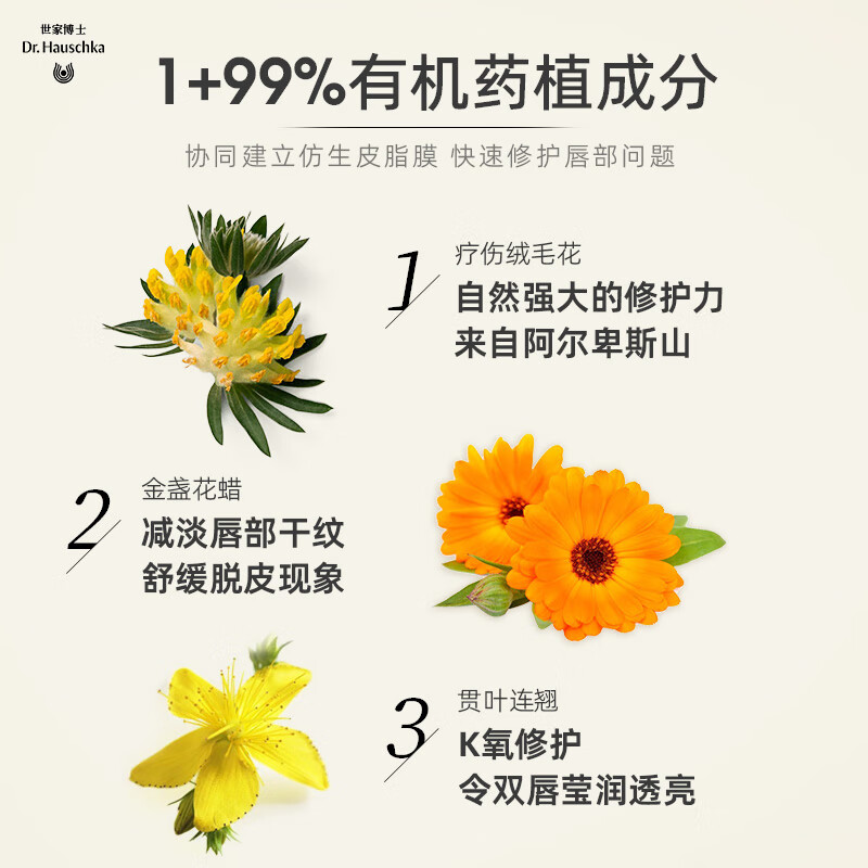 Dr.Hauschka德国世家黄油修护润唇膏4.5ml淡化唇纹唇油唇膜防干裂补水锁水