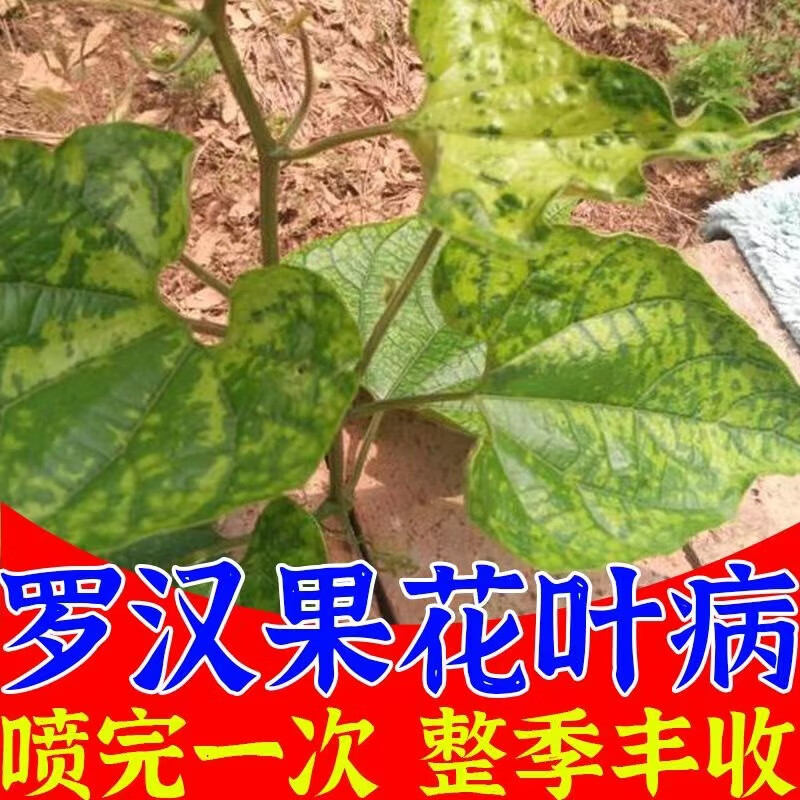 鸾磁罗汉果病专用罗汉果杀菌剂花叶病炭疽病疱叶病病毒病芽枯病红尾病