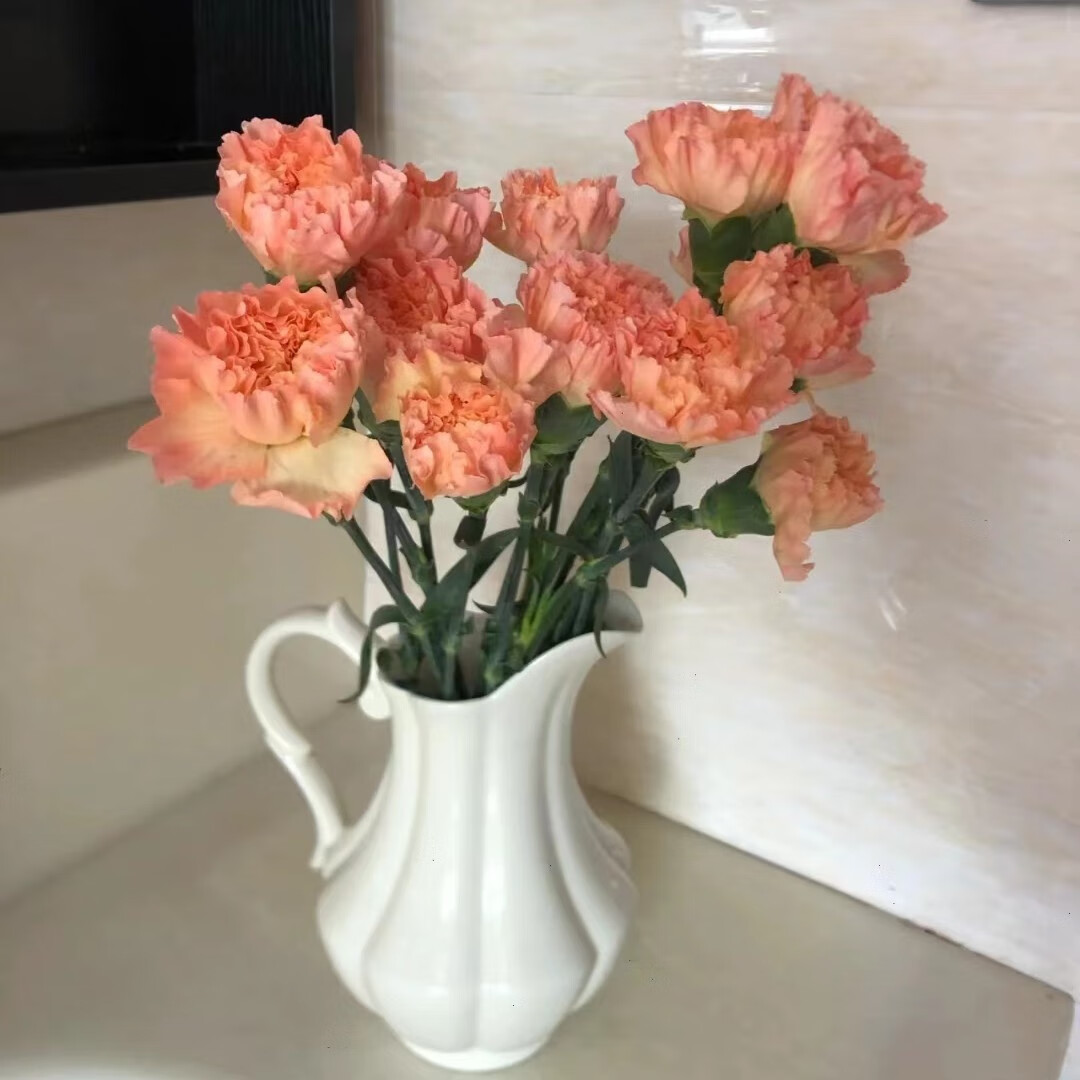 康乃馨云南基地直发云南昆明鲜花同城配送花束花篮生日礼物送妈妈 单