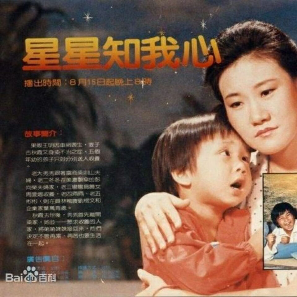 gisaev16g星星知我心电视剧优盘40集国语1983版中文字幕吴静娴u盘 16g