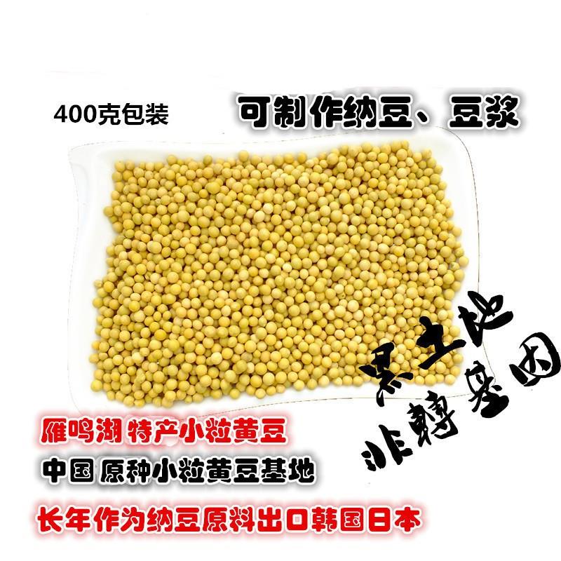 hywlkj东北690敦化雁鸣湖极小粒黄豆豆浆自制豆芽纳豆专用黄豆真空