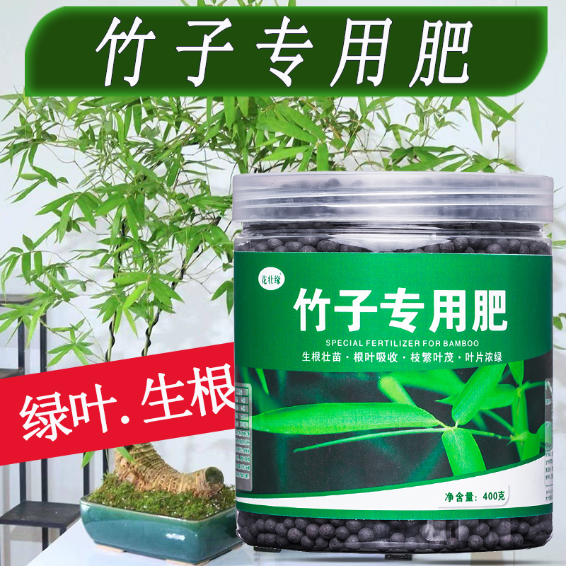 竹子专用肥料竹子专用营养液土内门竹发黄小叶簕竹盆栽类毛竹勒竹
