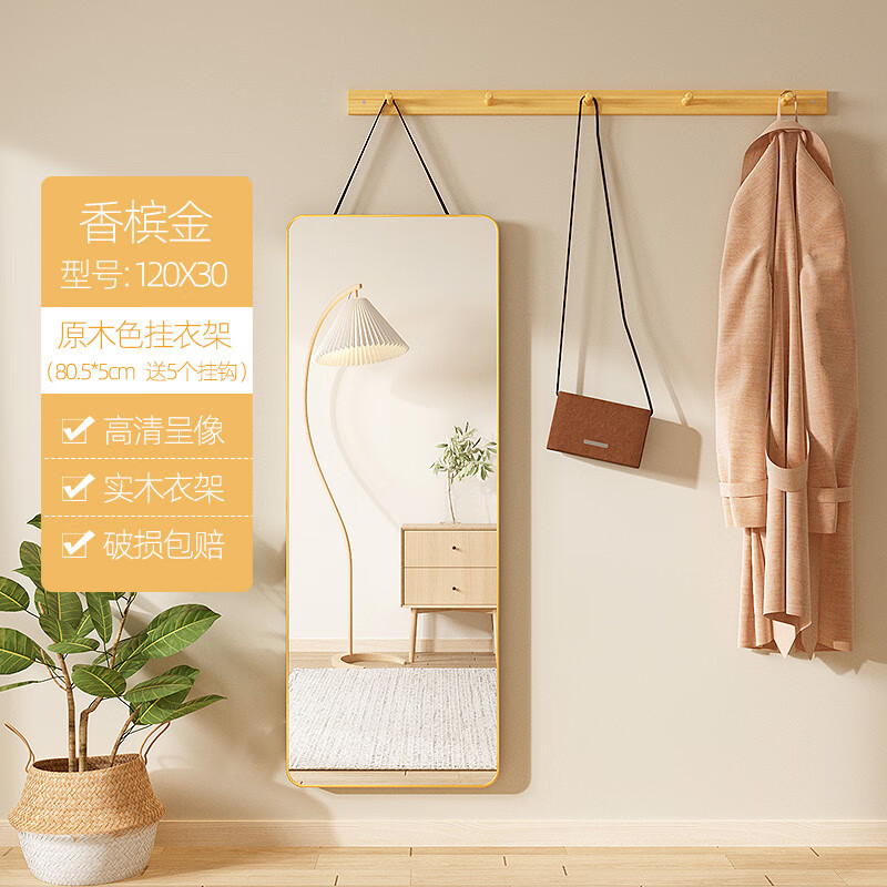黛致花语全身镜家用壁挂穿衣镜挂衣架一体入户玄关挂墙镜墙面可挂式