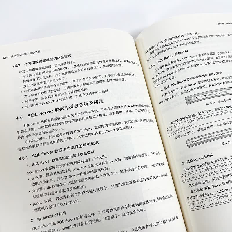 内网安全攻防:红队之路(博文视点出品)详情图