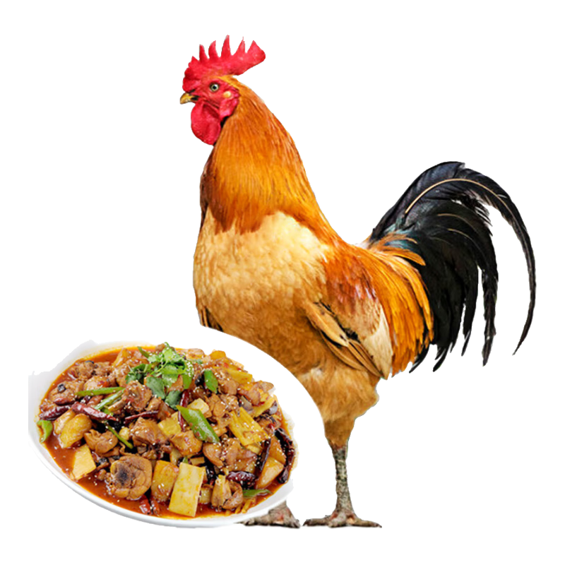 庆方堂 林间散养青脚土公鸡1.8kg 放养248天 大公鸡鸡肉整鸡生鲜