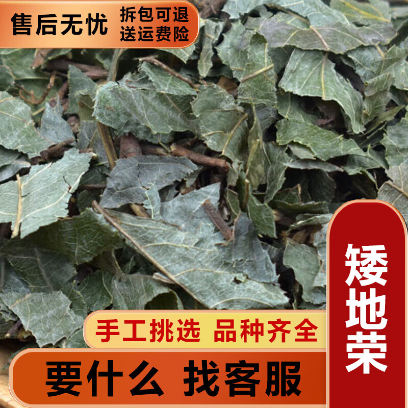 内廷上用北京矮地茶中药材500g别名:平地木,不出林,紫金牛,叶底珠,叶