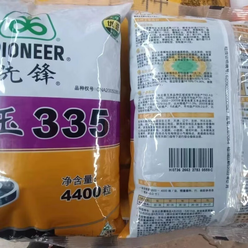 细辛登海先锋先玉335玉米种高产大棒抗病抗旱耐盐碱南北方玉米种子335