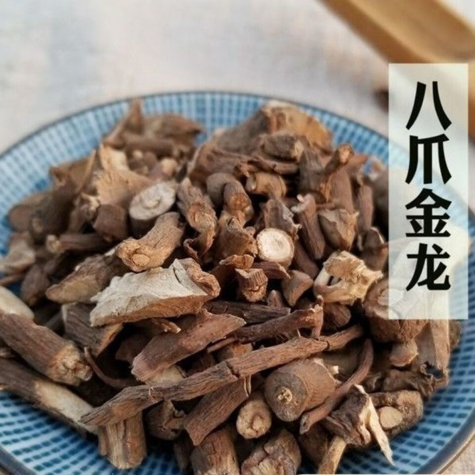 中药材 八爪金龙 250g 野生百两金 八爪龙 八爪根 猪总管 铁雨伞 今年