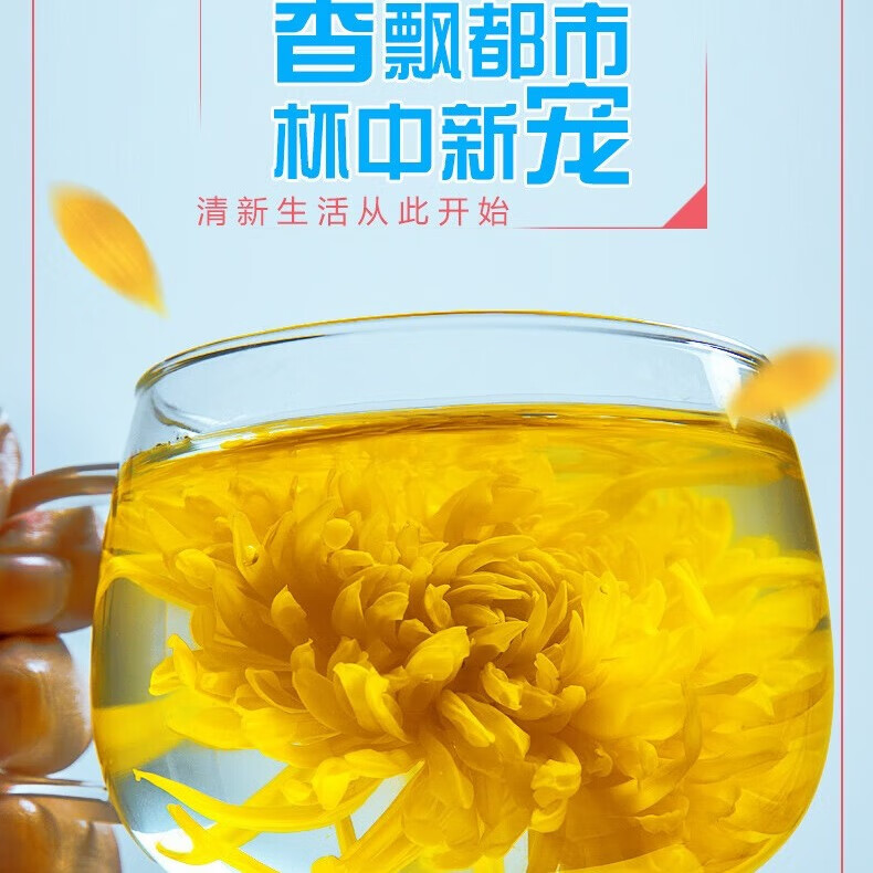 饮矿【拍二发三】金丝皇菊特大菊花级独立装一朵一杯养生茶礼盒20朵