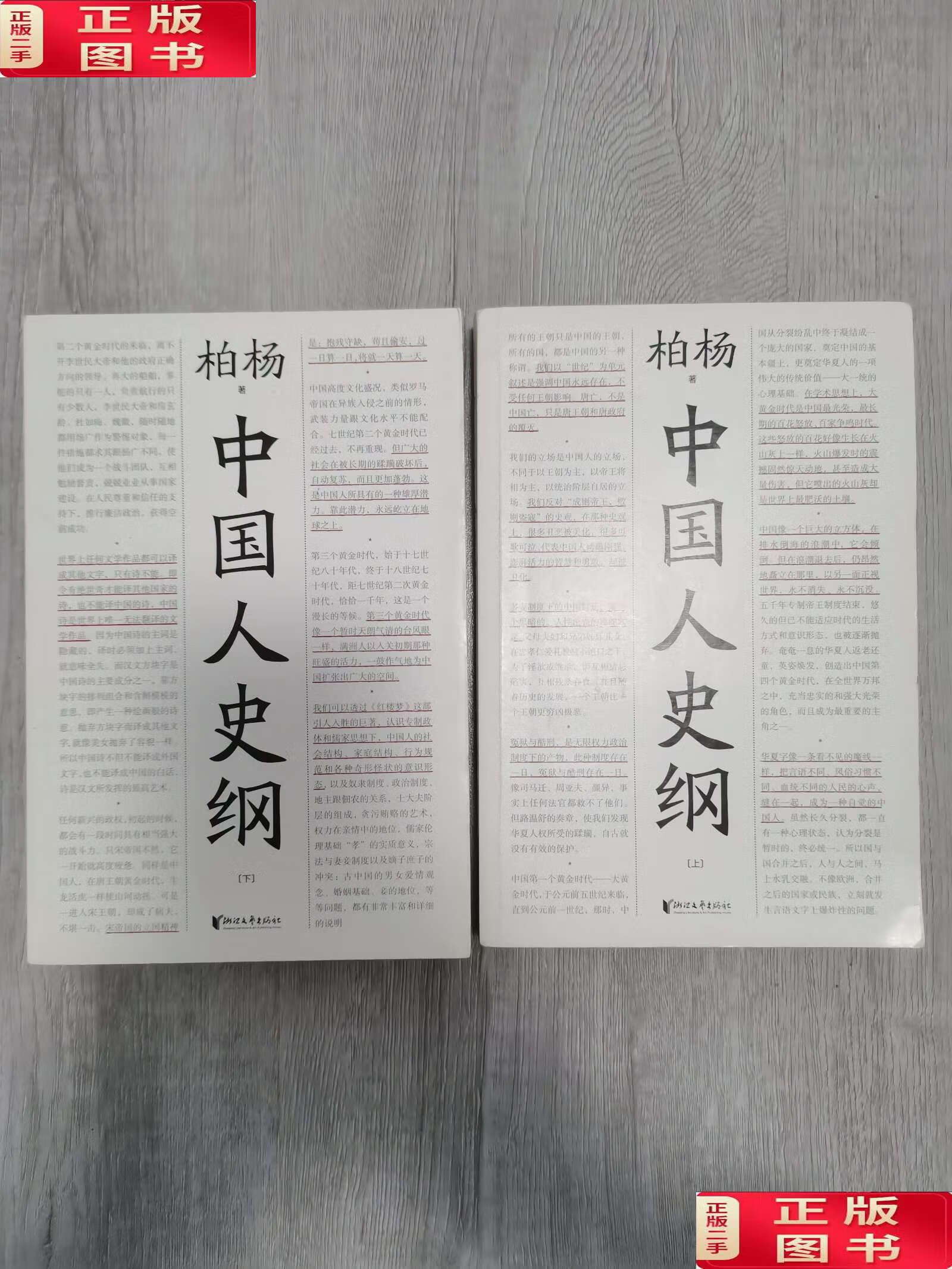 【二手9成新】中国人史纲 /未知 浙江文艺