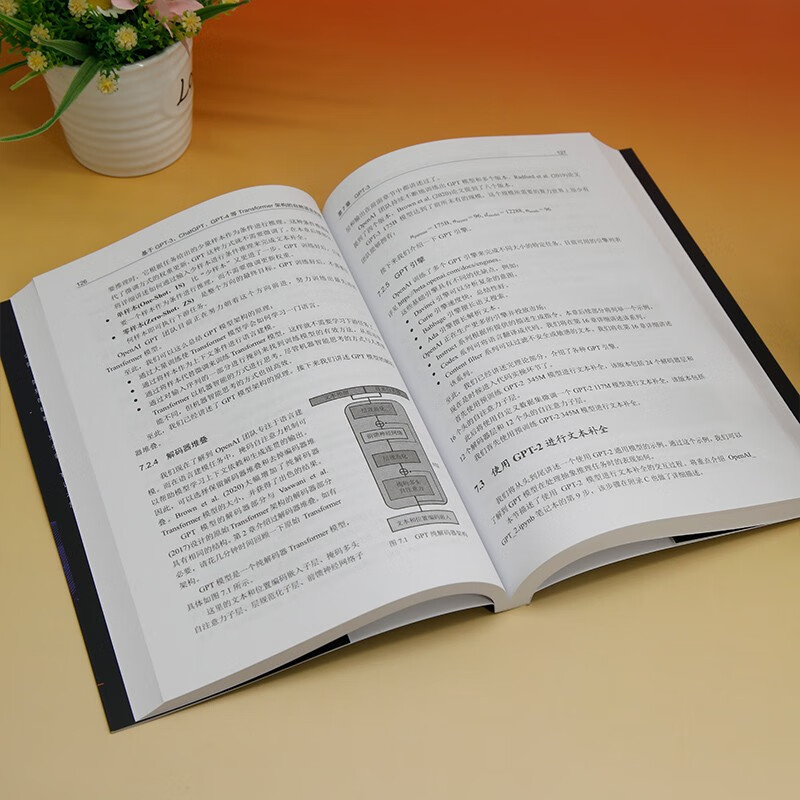 大模型应用解决方案 基于ChatGPT和GPT-4等Transformer架构的自然语言处理