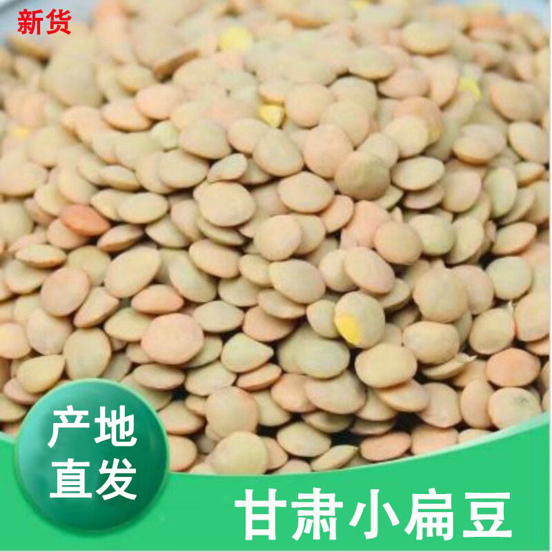 京材甘肃小扁豆 绿扁豆新鲜 农家小扁豆精选发芽菜 当季新货 甘肃小