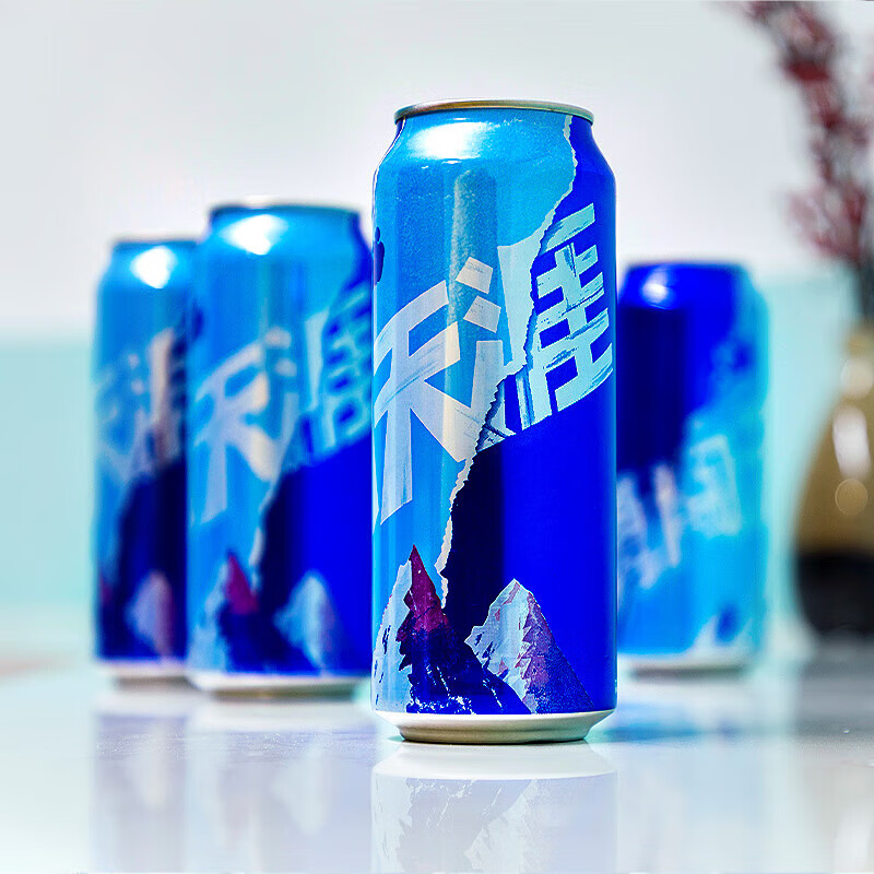 雪花啤酒 勇闯天涯 500mL 24罐 整箱装 到期日5月
