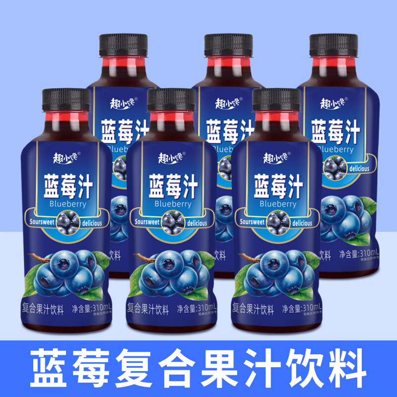 趣小谗饮料果汁佐餐饮品饮料 310mL 6瓶 1箱 蓝莓汁6瓶整箱