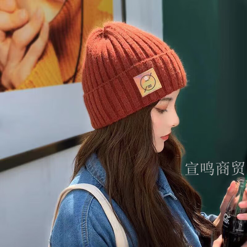 HACNSKD帽子女秋冬季绒线帽 女士新款时尚韩版百搭可爱针织帽 小雏菊+变色标粉色