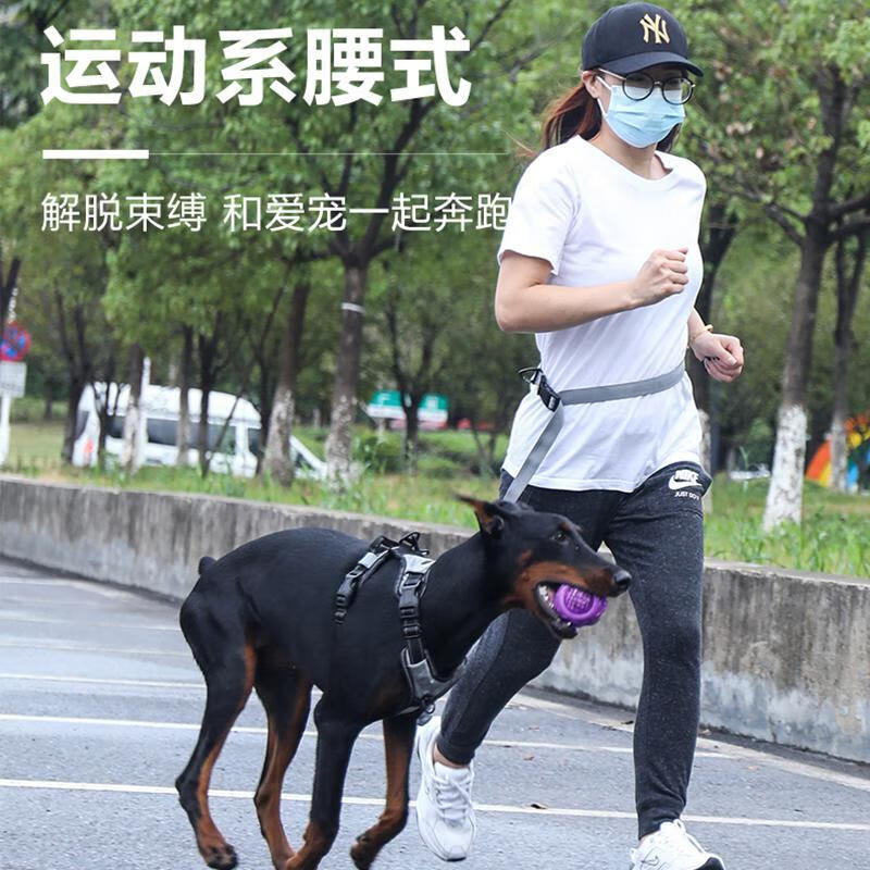 RAOZHIXIANG专用狗狗牵引绳系腰跑步遛狗防爆冲腰部小大型犬绳子解放双手 跑步牵狗绳[黑色]