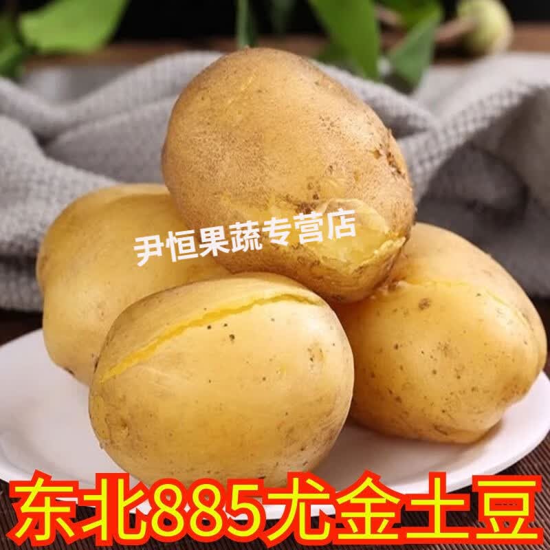 东北黑龙江特产尤金885土豆新鲜薄皮黄心甜面起沙黄瓤马铃薯土豆 5斤
