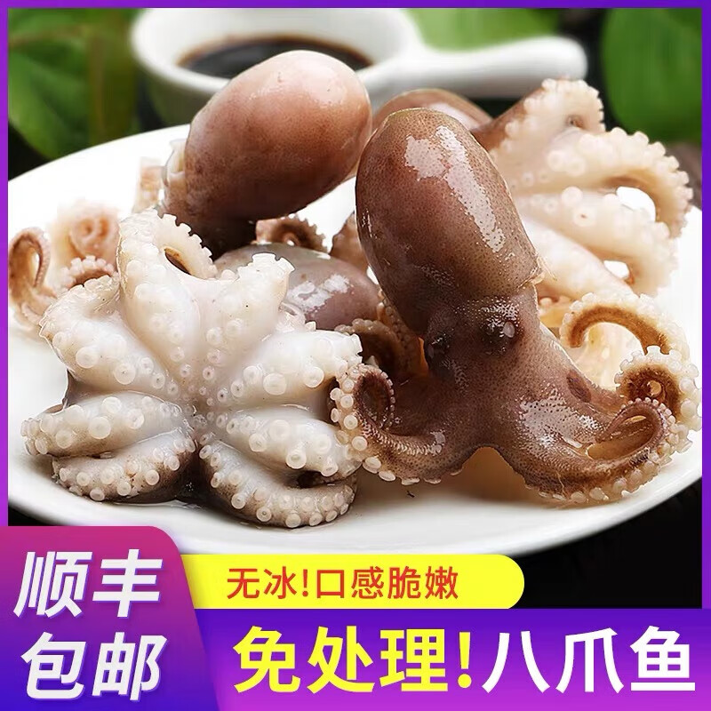 八爪鱼小章鱼400g14头无冰纯干水国产鲜活去脏免处理 八爪鱼400g14头