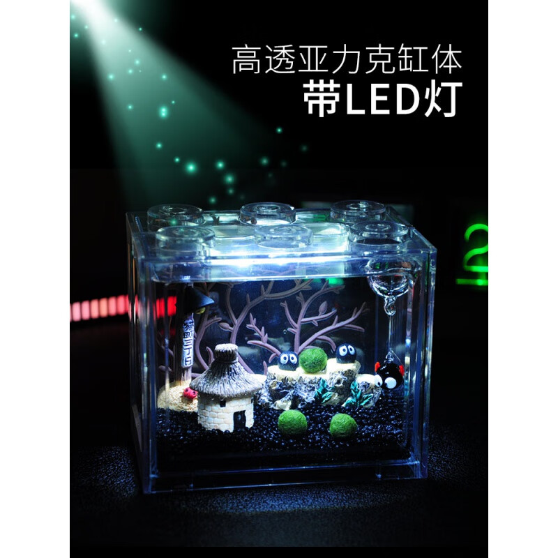 姒桀海藻球生态瓶微景观生态瓶室内桌面趣味鱼缸水培植物球藻小盆栽 大号恶魔领域(USB灯) 含3颗1岁+6