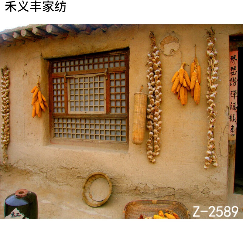 山头林村快手网红直播间外景农村乡村风景田野老房子主播直播背景 乳