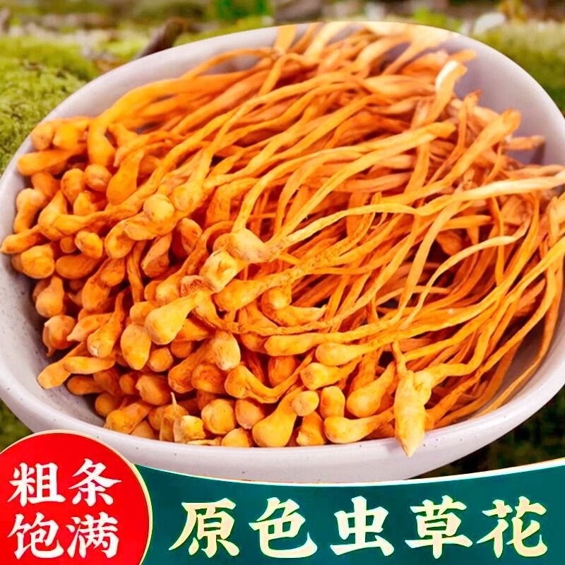 同薏堂蟲草花菌湯包無硫蛹北蟲草干貨大孢子頭煲湯湯料包材料金蟲草 500克