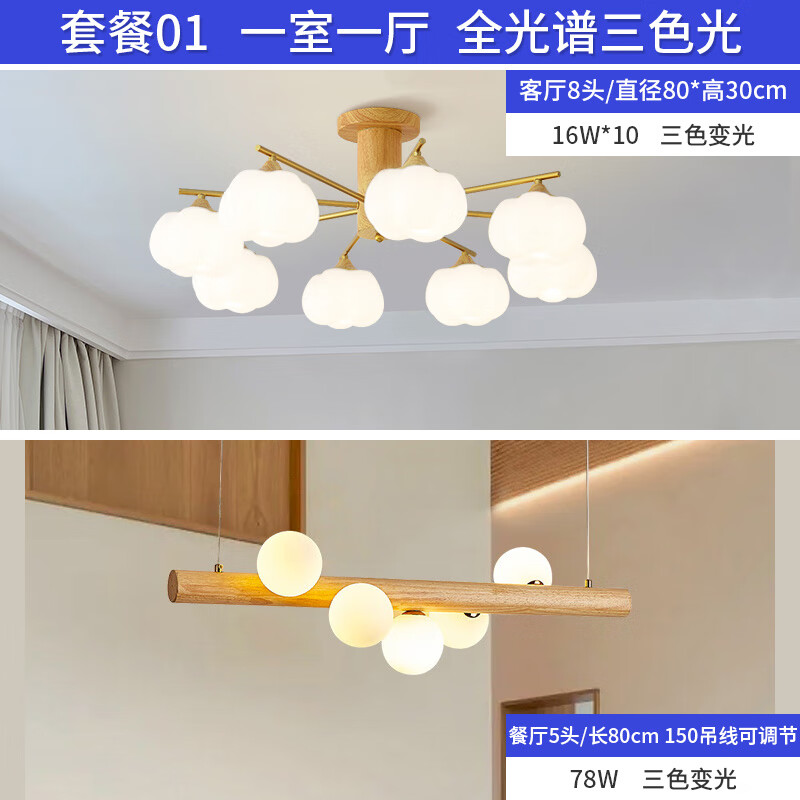 歐普源興燈具大全2024款客廳臥室燈餐廳燈原木奶油風全屋套餐組合主燈大氣 一室一廳【套餐1】