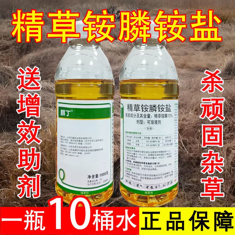 麒丁精草胺磷铵盐除草剂高浓度 草铵磷专用除草烂根剂强力除草 1000克（1瓶）+送5袋助剂