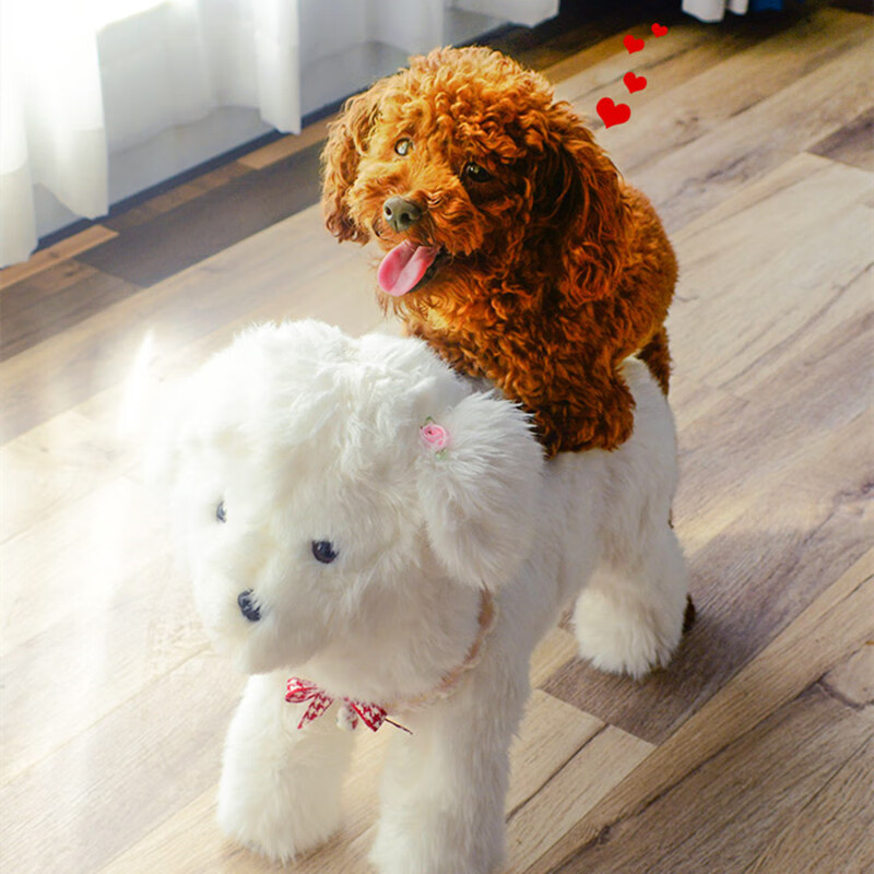 公狗交配玩具狗狗发泄火性伴侣宠物生理期仿真狗公狗发情期女朋友