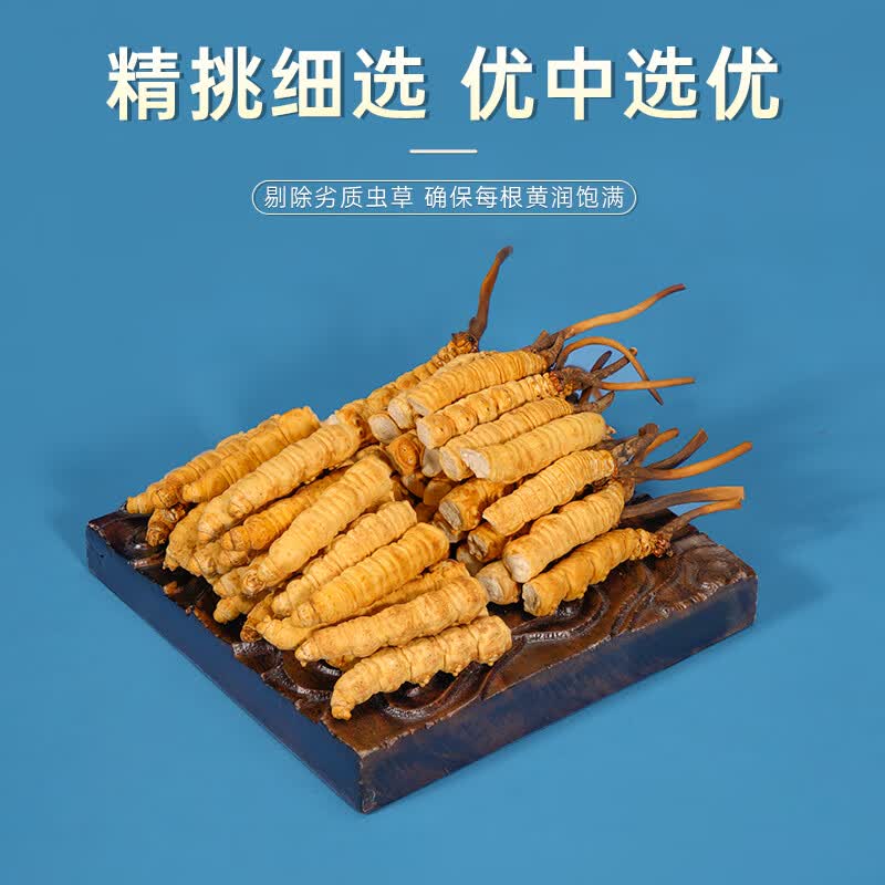 藏汐堂冬虫夏草 高海拔新干断草  送长辈礼物 实惠滋补营养品 大号断草 10g*1盒 【送养生杯】