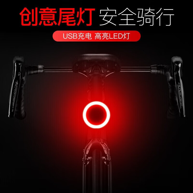 迪路仕（DEROACE）自行车尾灯夜骑警示灯山地车USB充电防水公路车灯骑行装备配件 圆形