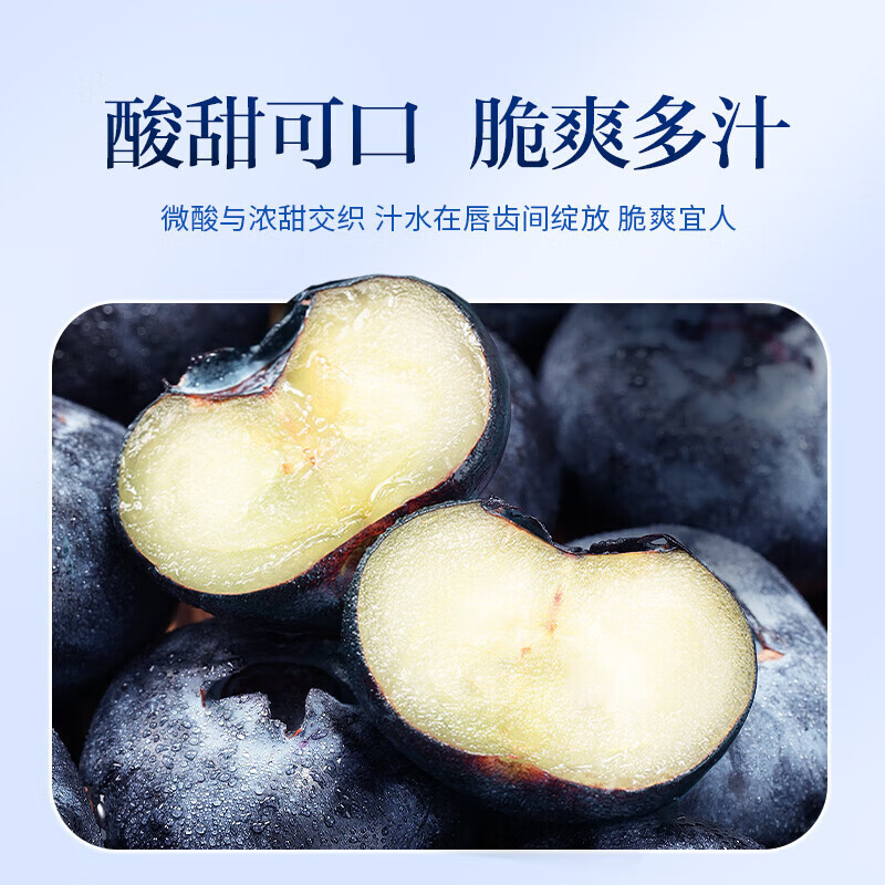芫曦云南花香蓝莓【多地次日达】新鲜水果年货节送礼物 精选大果 | 约15mm+ 【尝鲜装】2盒装 单盒约100-125g