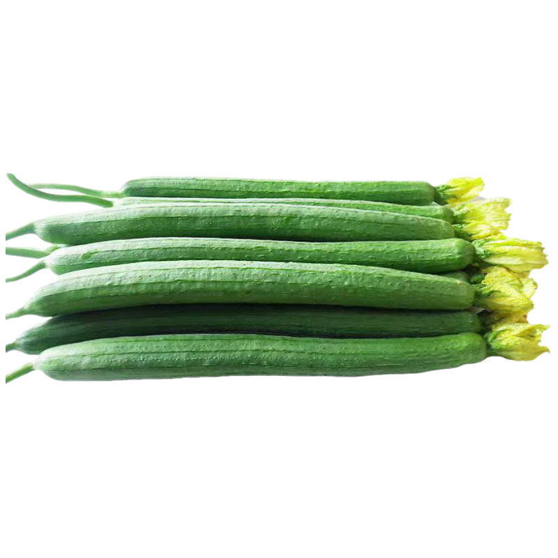 ���ڲ��������ش�ɽ������˿�� ʱ���߲� ����3�� ������35-55cm  Դͷֱ������ 25.9Ԫ