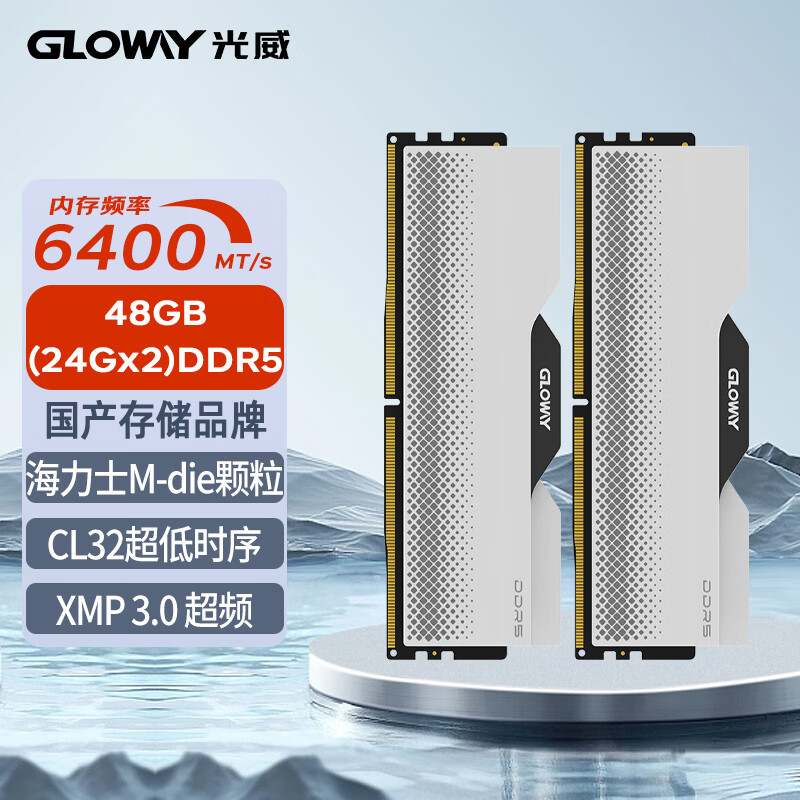 GLOWAY 光威 龙武系列 DDR5 6400MHz 台式机内存 马甲条 白色 48GB 24GBx2 海力士M-die颗粒