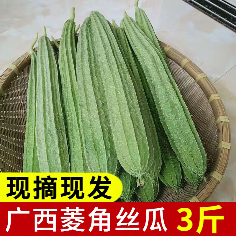 辰实广西新鲜丝瓜 棱角丝瓜八角瓜 带棱丝瓜农家现摘蔬菜 3斤